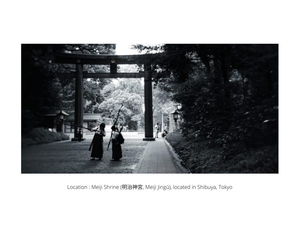 TOKYO- Japan - 9 2 S N A P - Travel Series