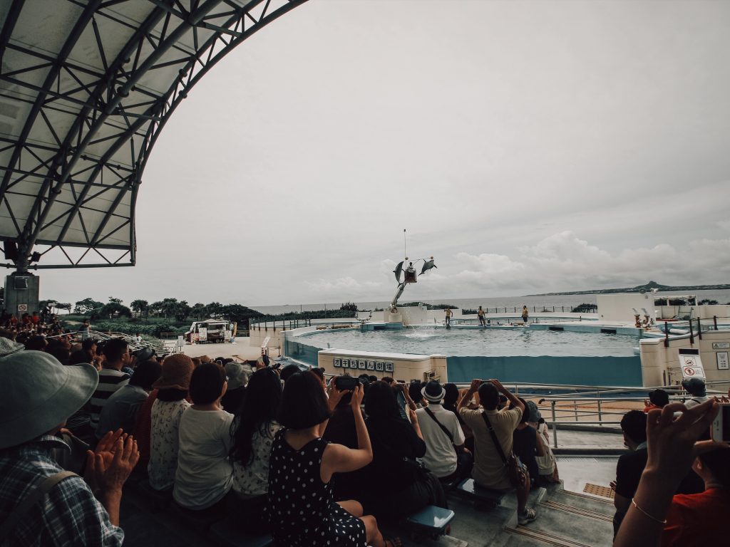OKINAWA- Japan - 9 2 S N A P - Travel Series