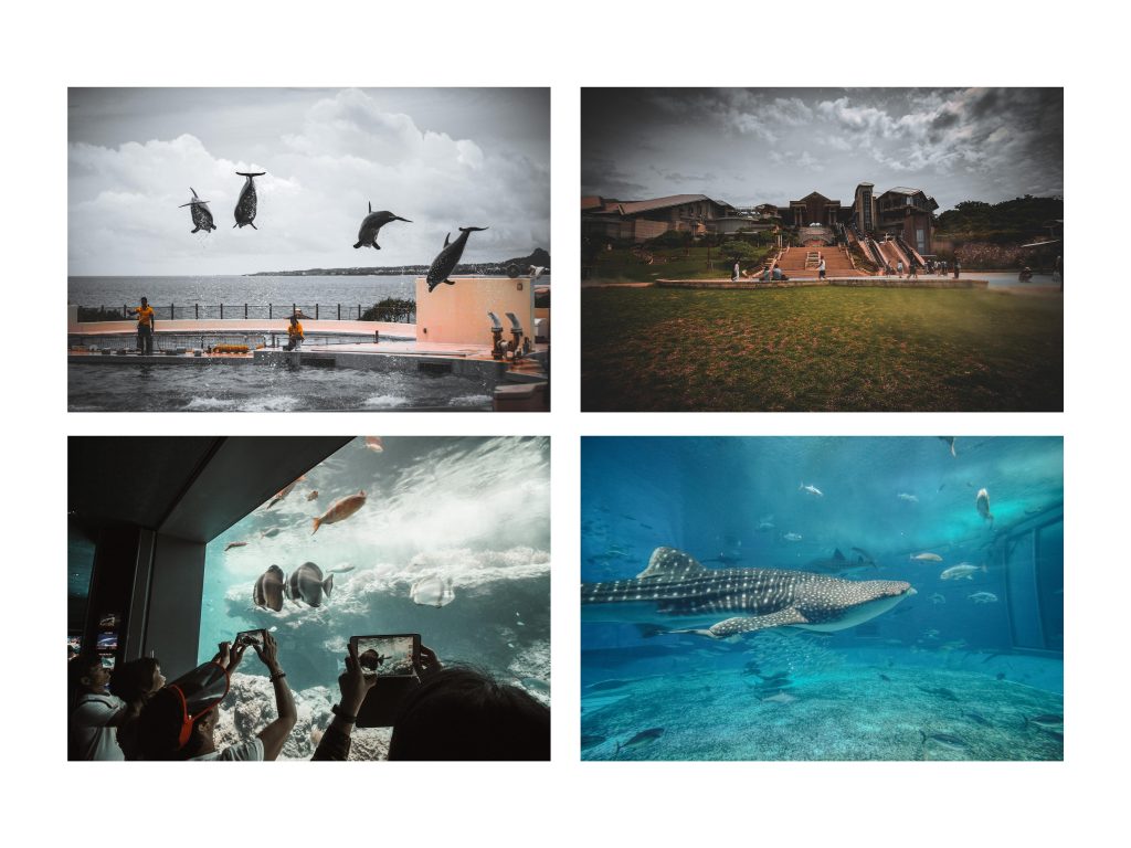 OKINAWA- Japan - 9 2 S N A P - Travel Series