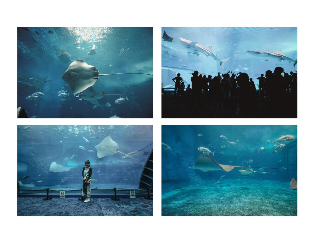 OKINAWA- Japan - 9 2 S N A P - Travel Series
