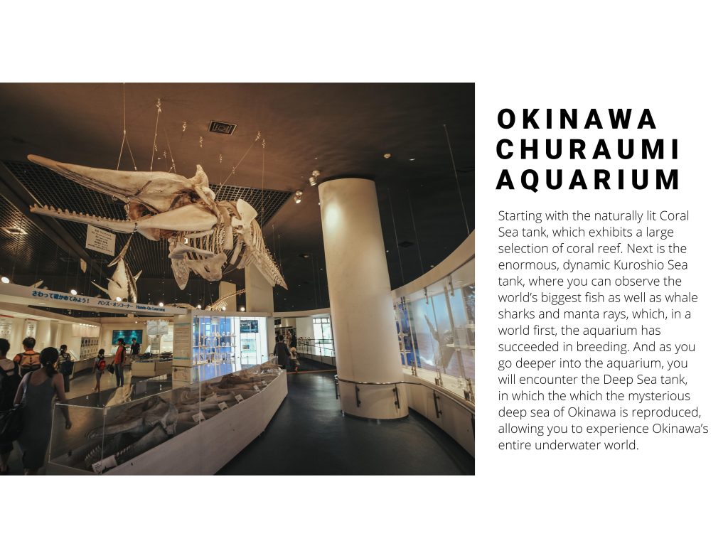 OKINAWA- Japan - 9 2 S N A P - Travel Series