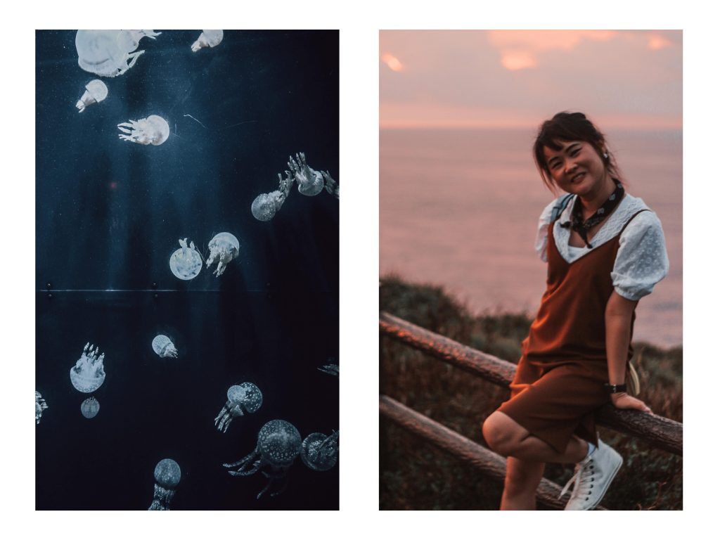 OKINAWA- Japan - 9 2 S N A P - Travel Series