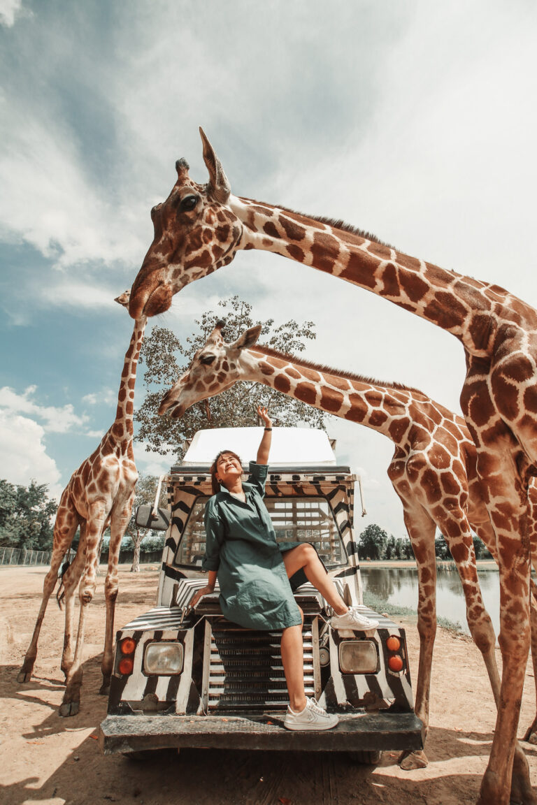 Safari Park & Camp Kanchanaburi - 9 2 S N A P - Photo Spots