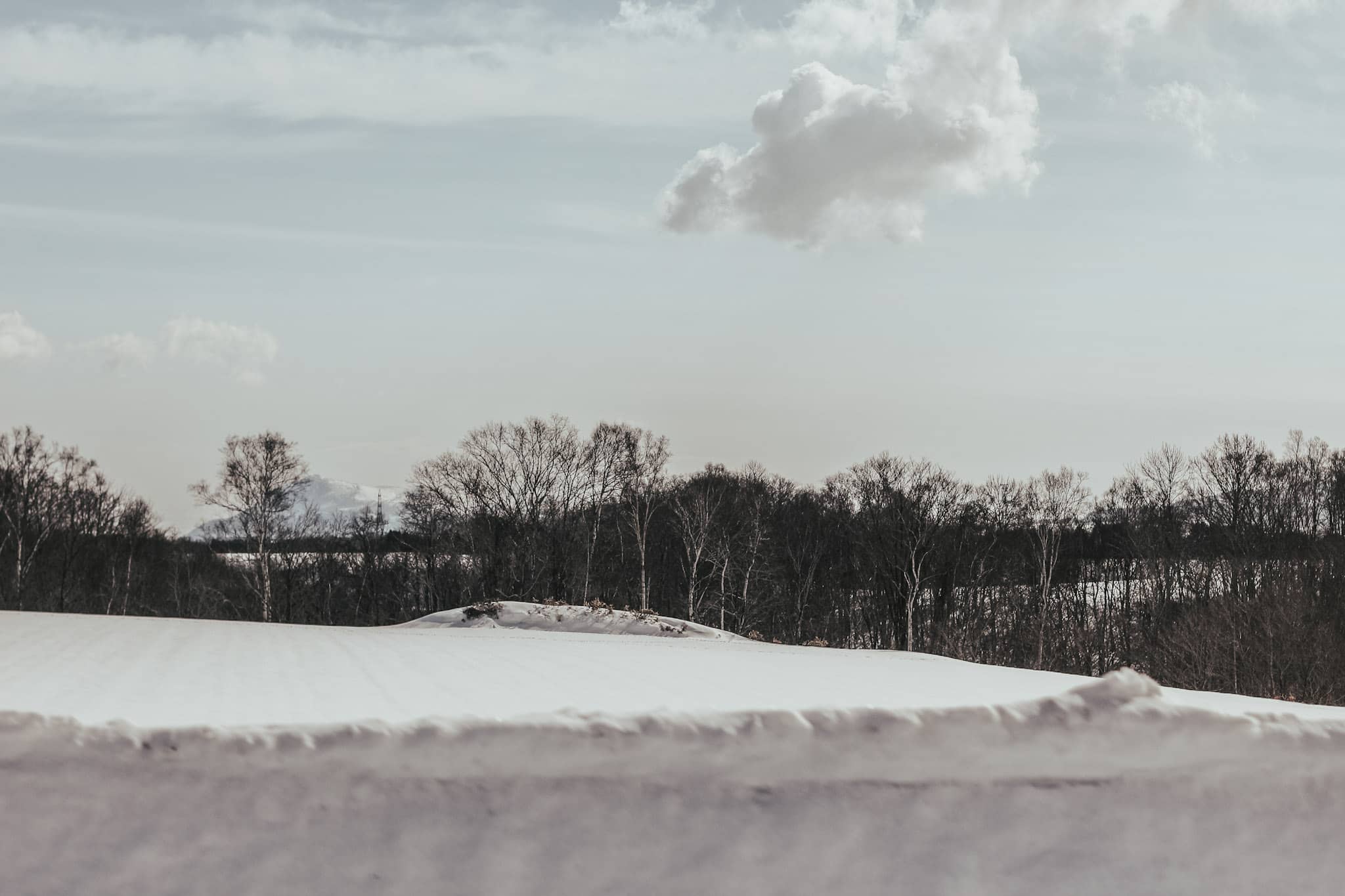Hokkaido - Japan - Travel Series - 92SNAP